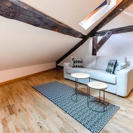 Tyni House Furnished Flat Annecy