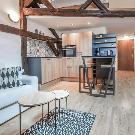 Tyni House Furnished Flat Apartment Annecy